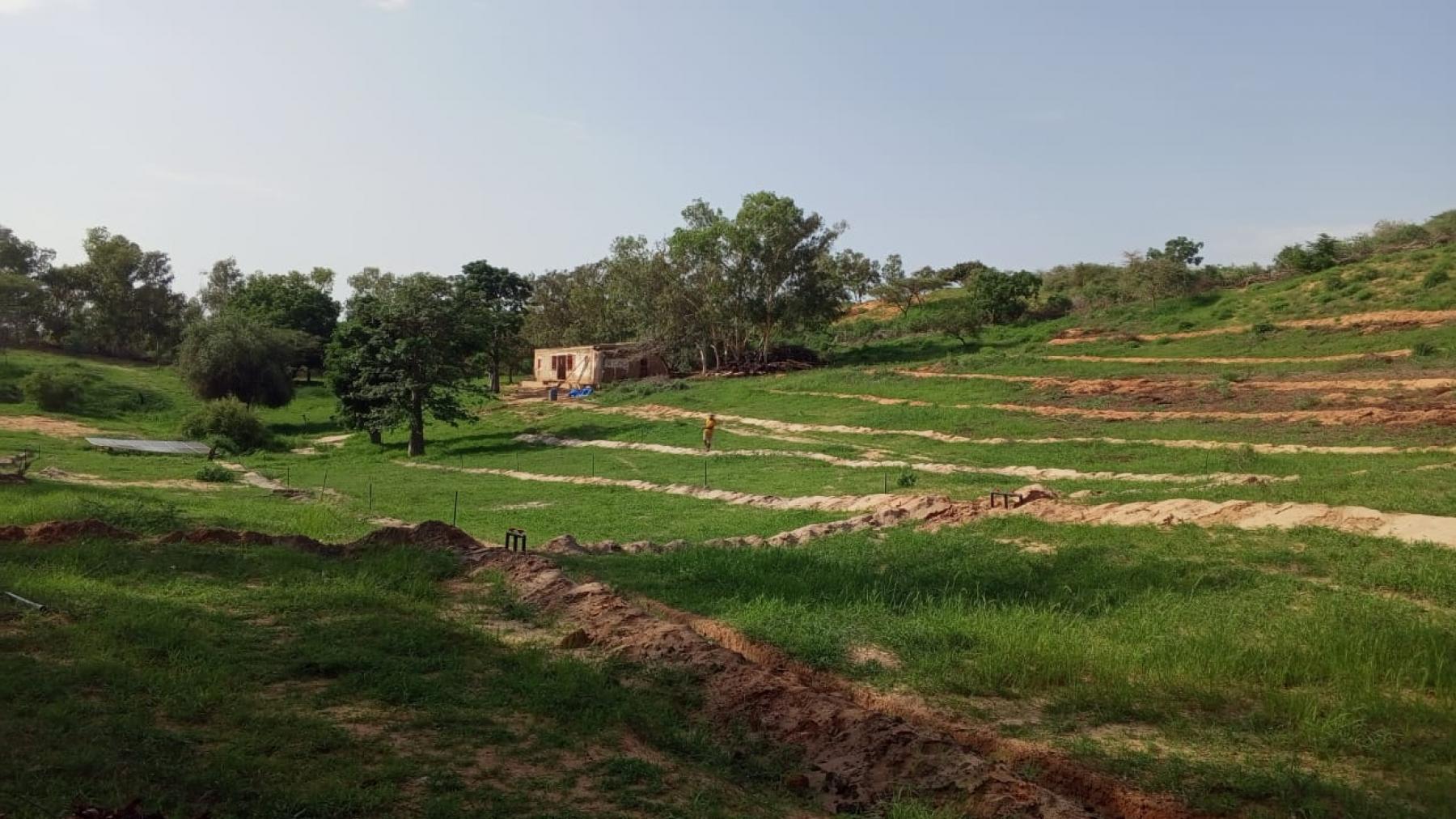 Au Sénégal, un chercheur soutenu par la Fondation Cuomo accompagne une ferme agroécologique vers la production
