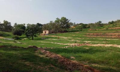 Au Sénégal, un chercheur soutenu par la Fondation Cuomo accompagne une ferme agroécologique vers la production