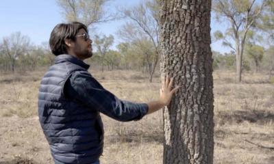 The documentary film by researcher Pedro Fernandez on the ecosystems of the Gran Chaco, Argentina